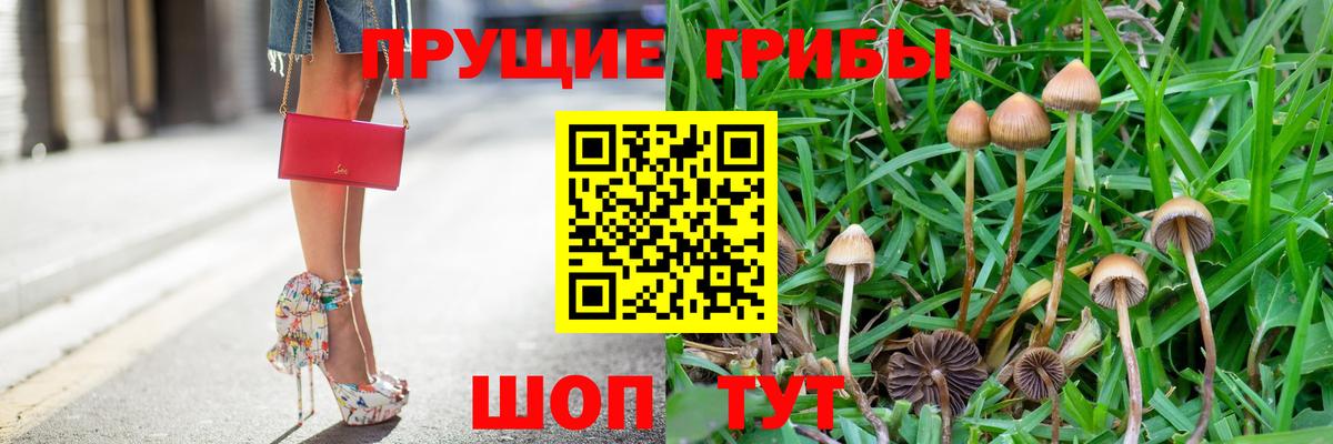 Псилоцибиновые грибы MAGIC MUSHROOMS  Вход с VPN  Знаменск  хочу наркоту  Галлюциногенные грибы Cubensis 